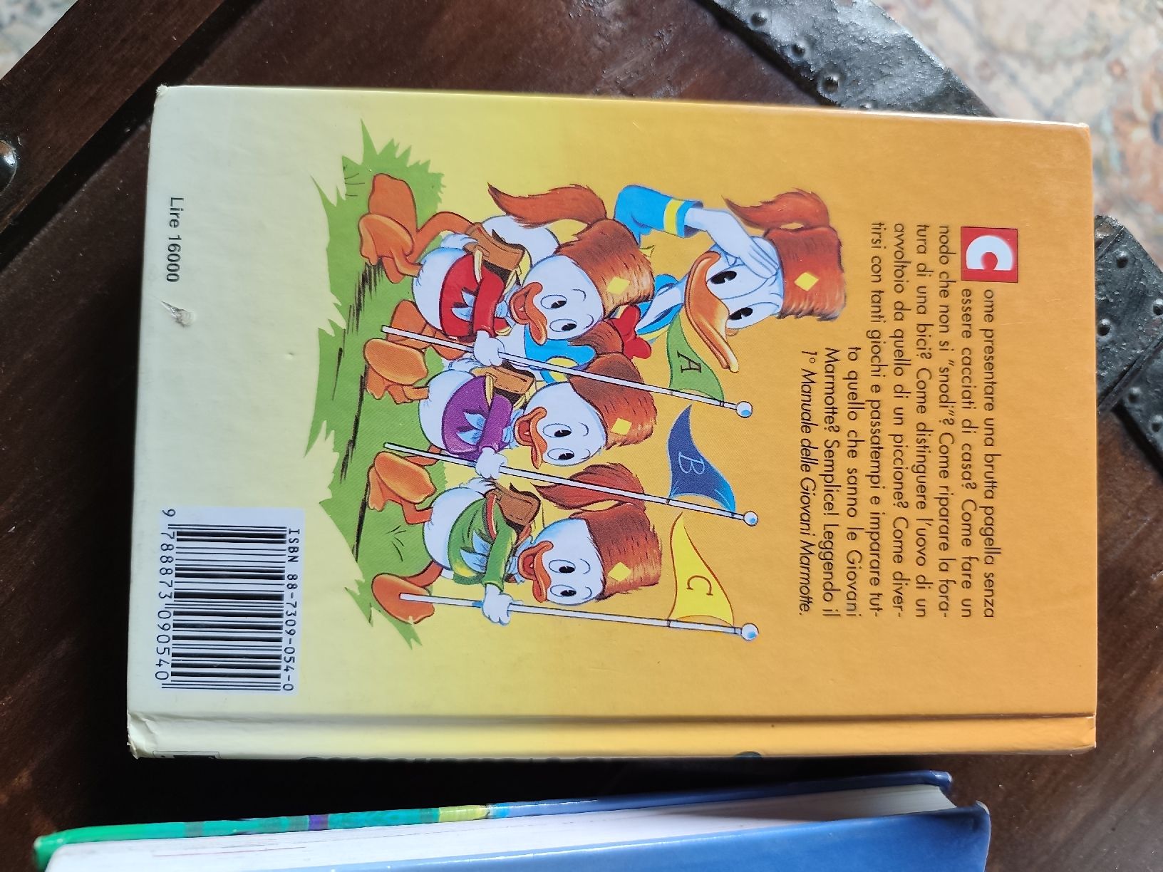 Libri: manuale delle giovani marmotte – Usato da Grono venduto da sab_f6hs 2