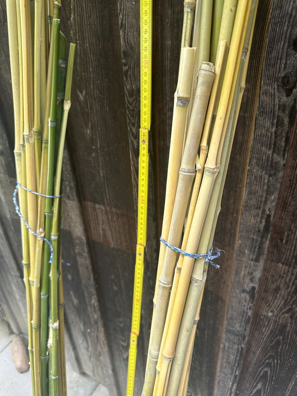 Holzartikel: Bambus Stangen – Gebraucht aus Oftringen von umara 1