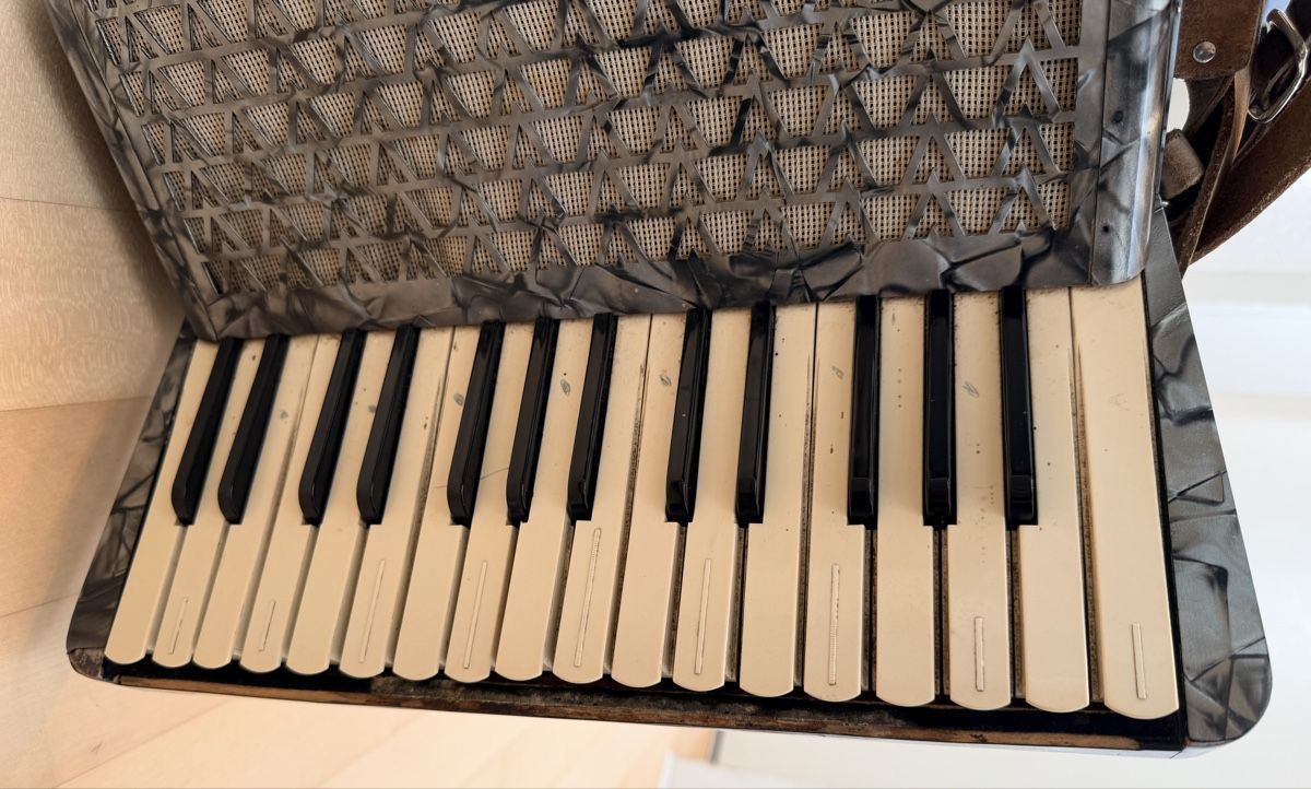 Hohner Strumenti musicali: Handorgel Akkordeon HOHNER – Usato da Walkringen venduto da Flyover 9