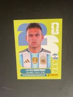 Panini ARG18