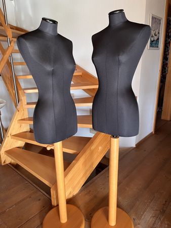 Damen Torso