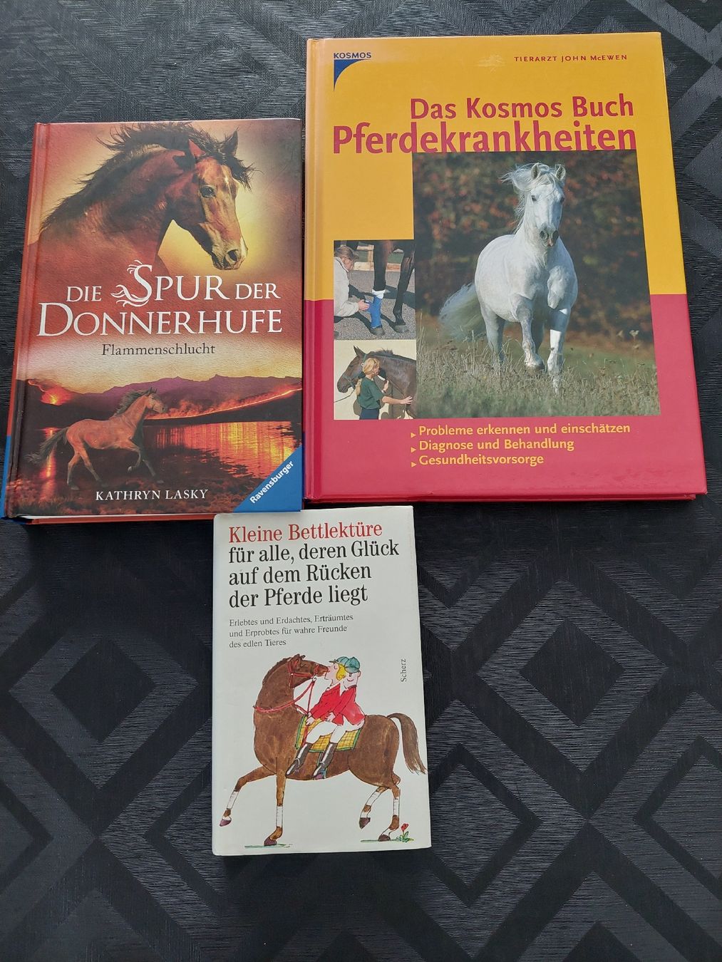 Libri: 3 Pferdebücher 🐴 – Usato da Zetzwil venduto da lanst08