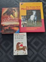 3 Pferdebücher 🐴