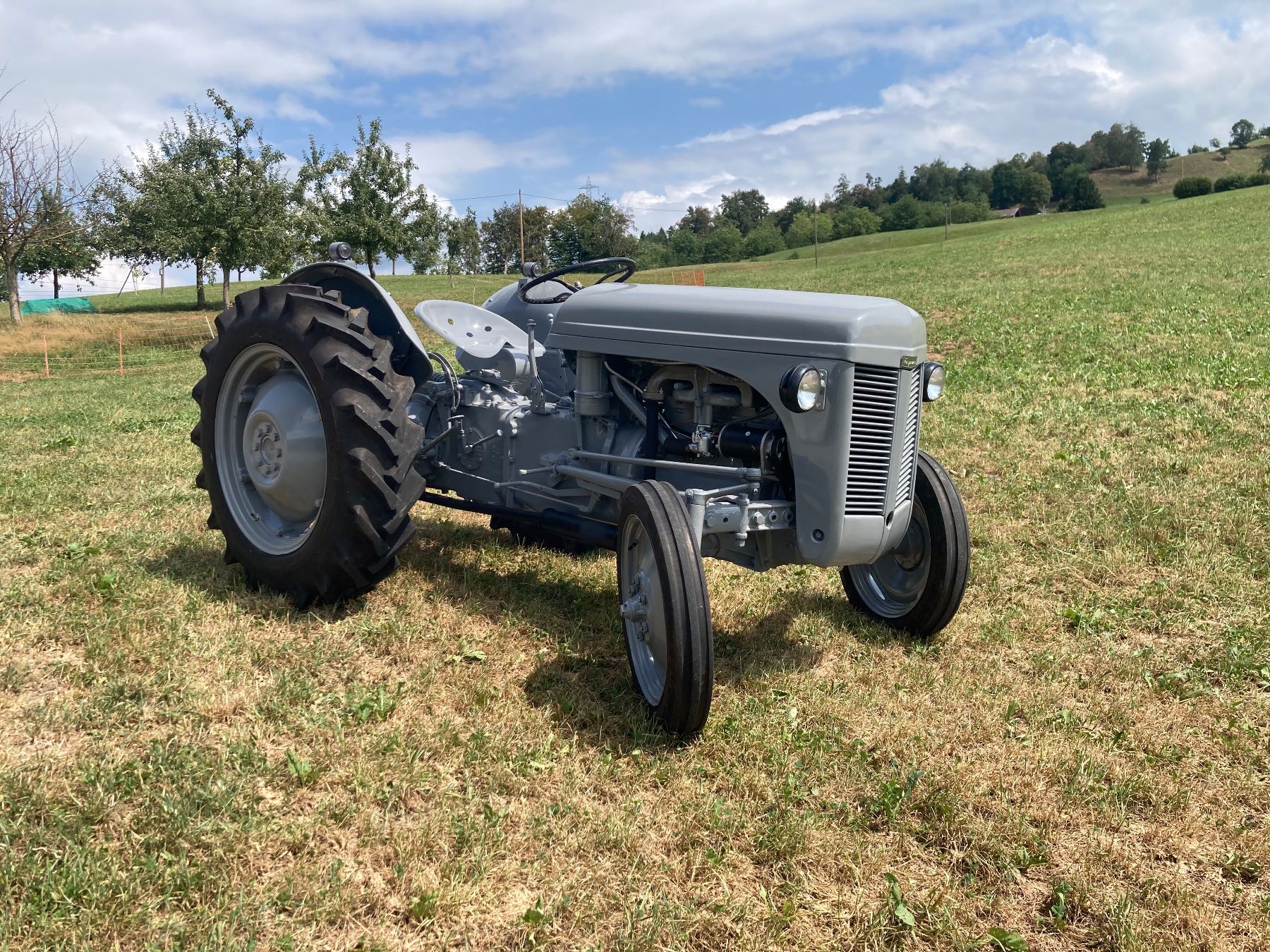 Massey Ferguson Tracteurs: Ferguson TED Jg. 1950 Oldtimer Traktor – D'occasion à Küssnacht am Rigi par Excavator 1