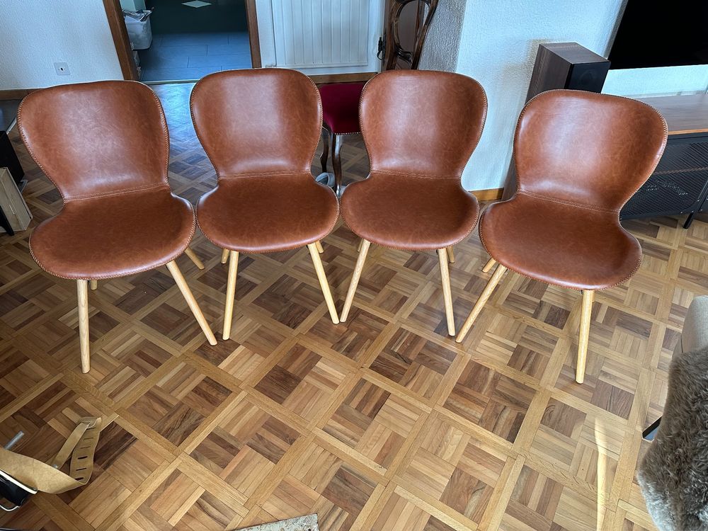 Sweet Dixie Prägepuder Dunkelgrün - Strukturpulver Für Bastelprojekte Mit Heißluftpistole