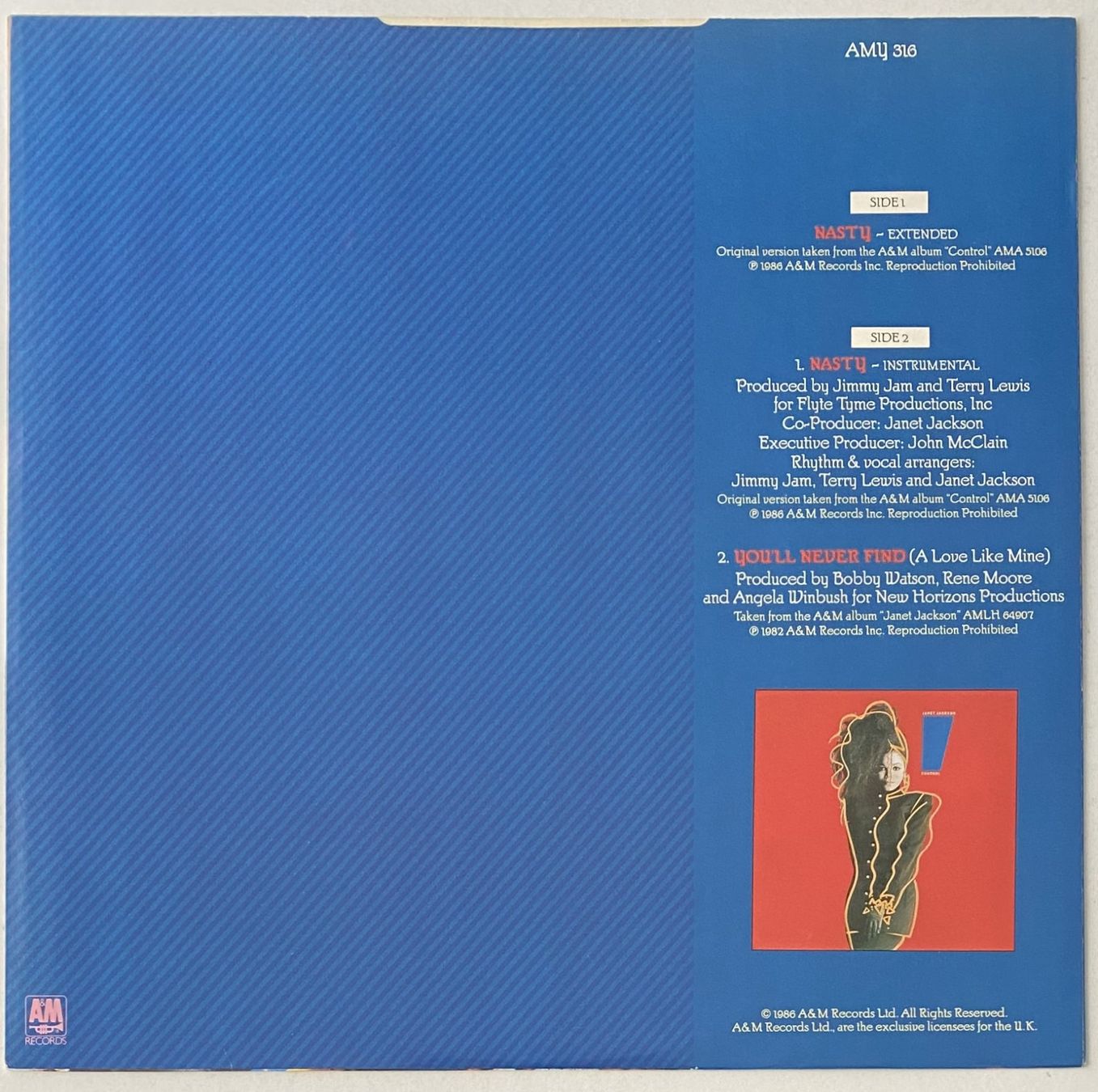 Dischi in vinile: Janet Jackson, Nasty – Usato da Flums venduto da Empe1 1