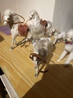 Pferde zu Barbie
