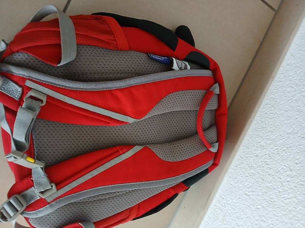 Affenzahn Kindertaschen: Affenzahn Rucksack Marienkäfer – Gebraucht aus Hinwil von Sabirose9 1