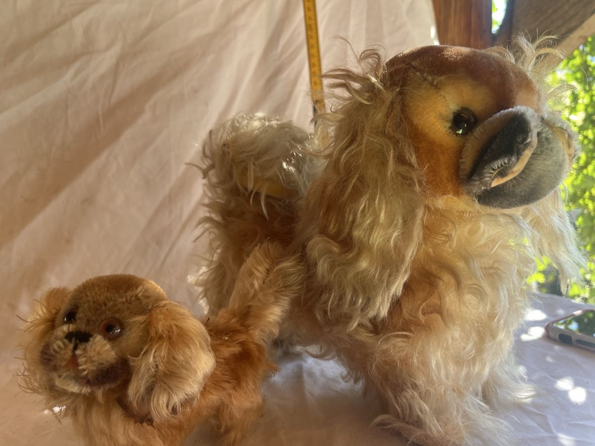 Steiff Giocattoli: 2 Alte Hunde Steiff – Usato da Brienz BE venduto da hey_z9vg 3