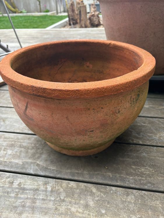 Terrakotta Topf Kaufen auf Ricardo