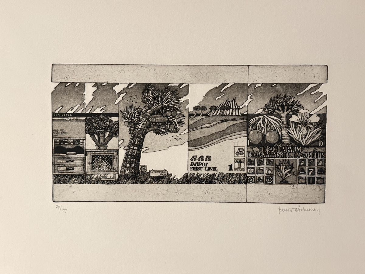 Grafica & Litografie: Bengt Böckman - Radierung – Usato da Solothurn venduto da NUVICO