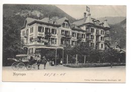 MEIRINGEN Hotel Bären, Pferde-Kutsche