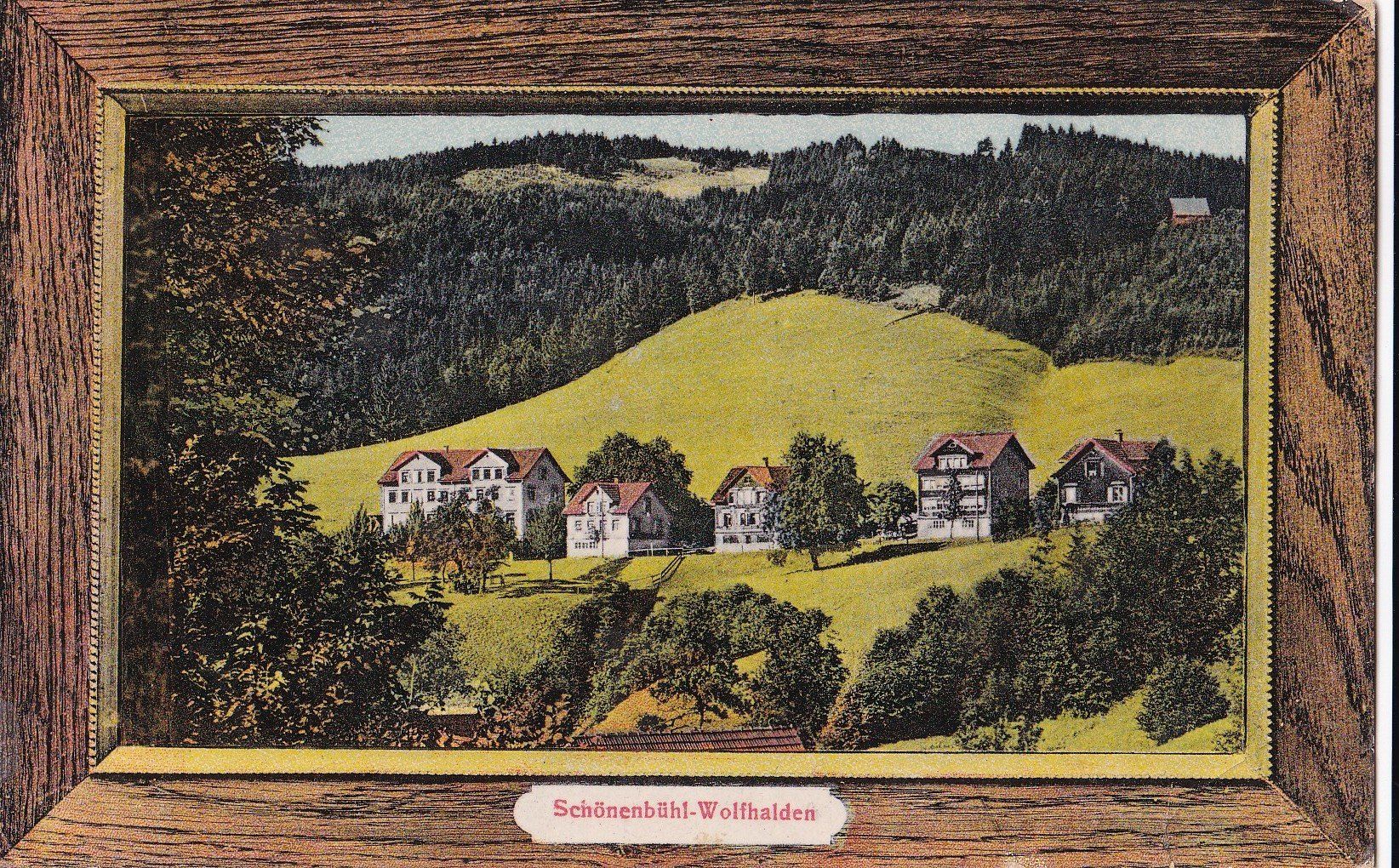 Ansichtskarten: Schönenbühl - Wolfhalden Teilansicht – Gebraucht aus Olten von clotaldi