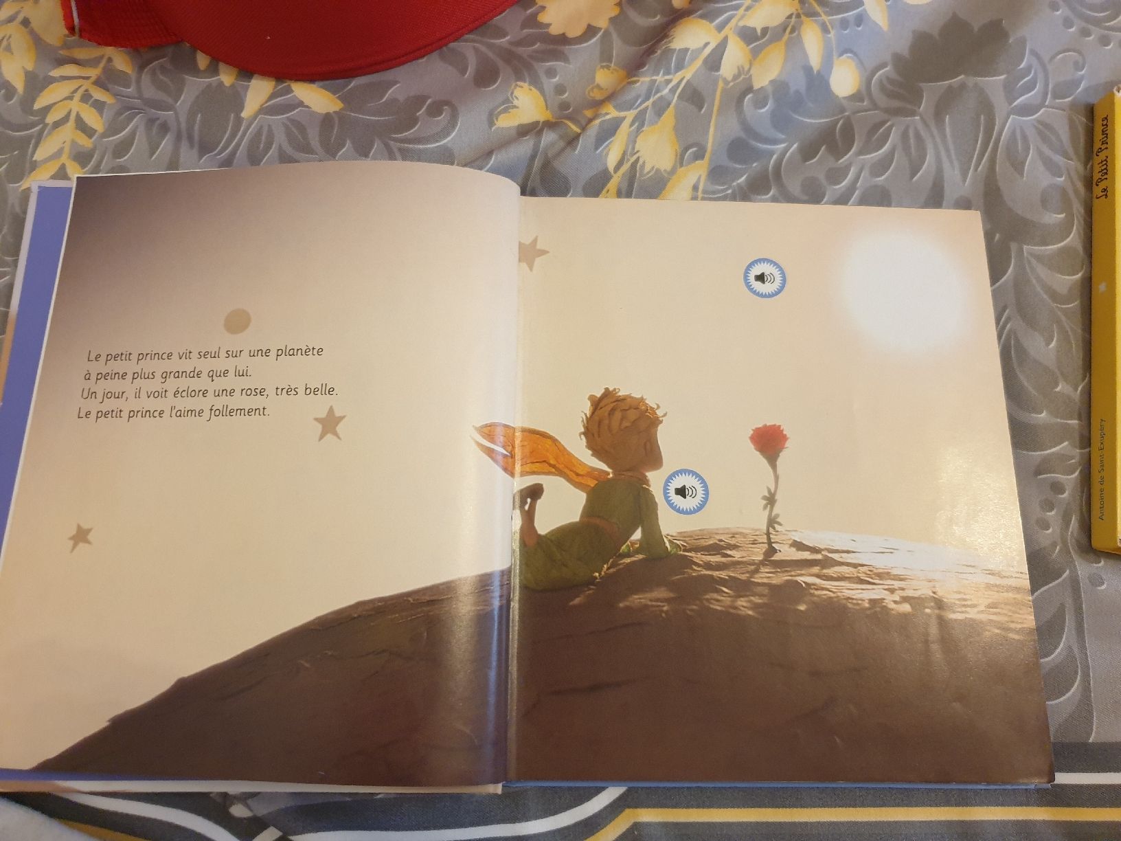 Bücher: Livres Petits Prince – Gebraucht aus Fribourg von mal_8zjh 4