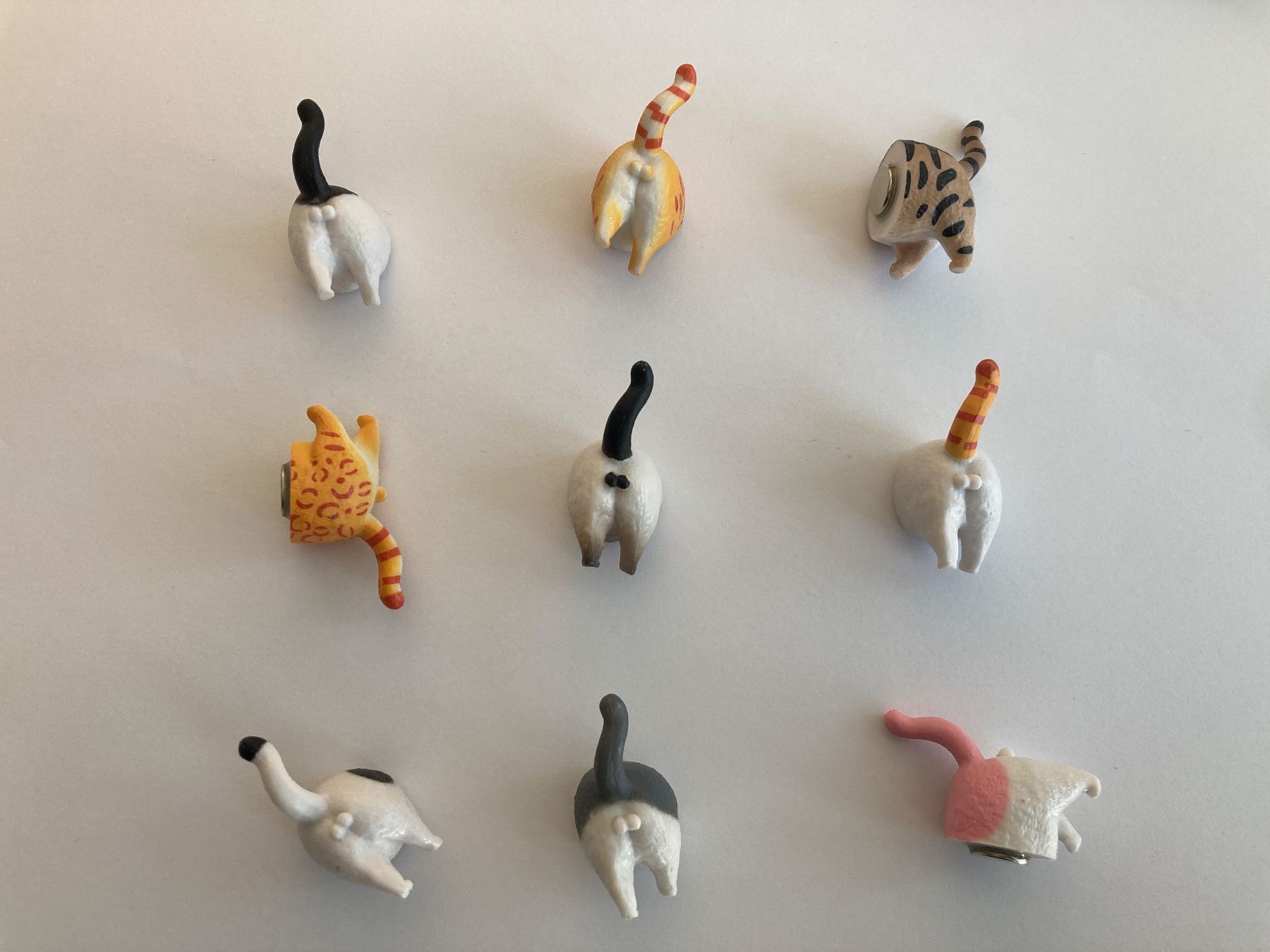 Calamite: Katzen Kühlschrankmagnete 9er Set – Usato da Bern venduto da yla_88nl