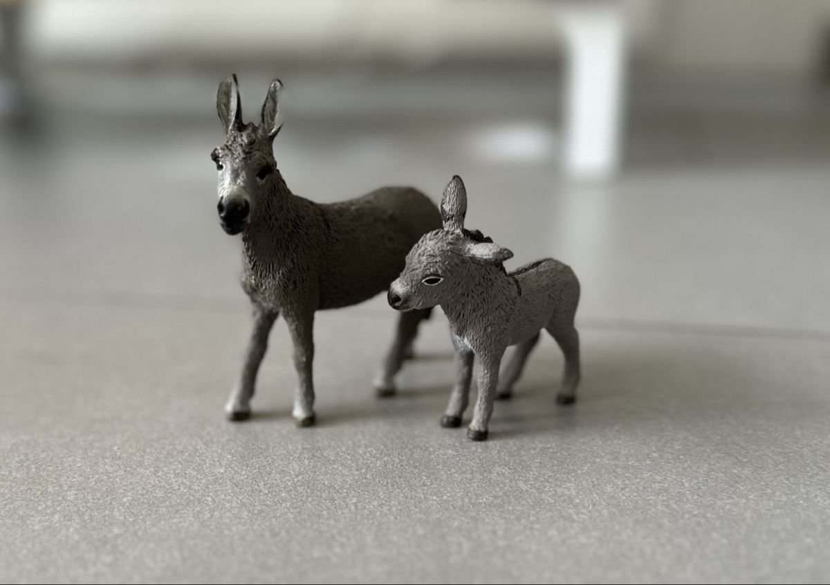 Schleich Giocattoli: Schleich Tiere – Usato da Fislisbach venduto da TamaCh81 5