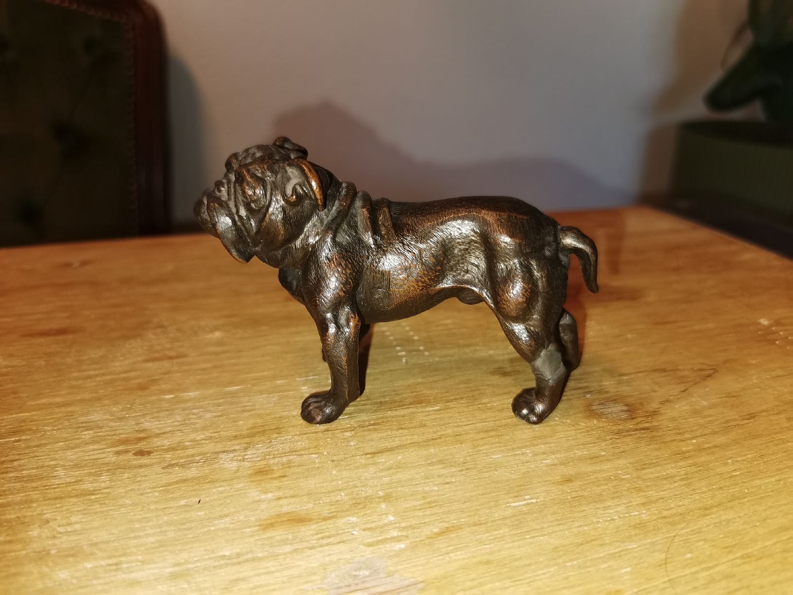 Sculture & Statue: Bronze Figur Bulldogge – Usato da Hinwil venduto da mik_827y