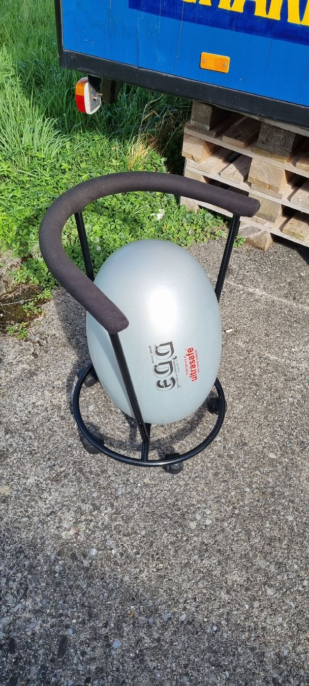 Sedie: Ergonomischer Stuhl EG.G – Usato da Wädenswil venduto da weihpos 1