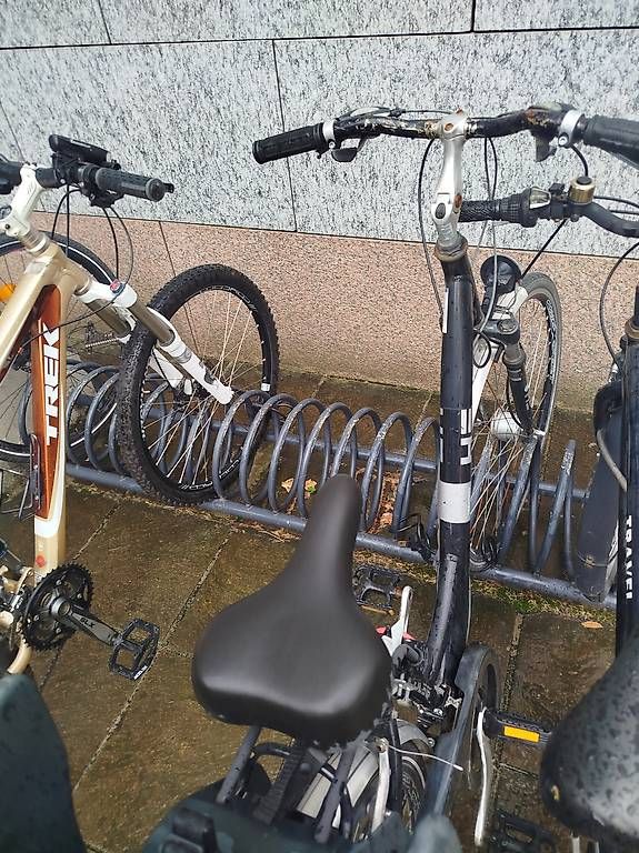 Biciclette: Bici da passeggio  – Usato da Paradiso venduto da sal_j7qr 3