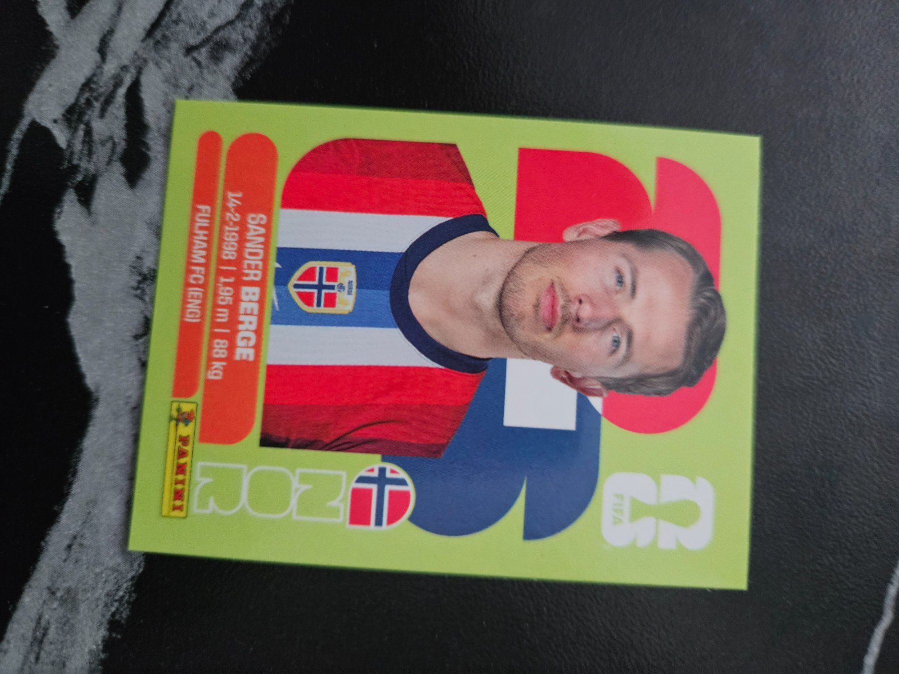 Panini Carte collezionabili: NOR 11 – Usato da Würenlingen venduto da Dinli