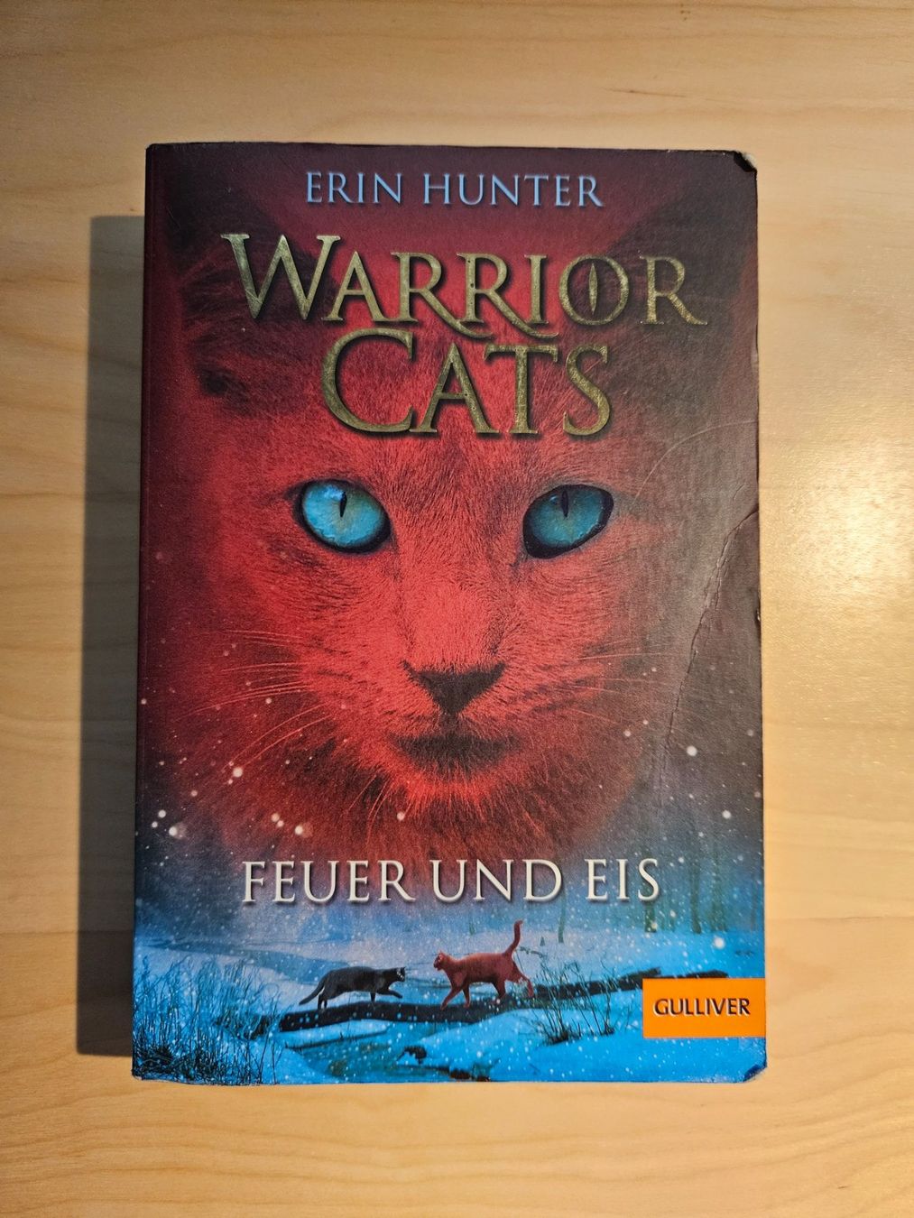 Bücher: Warrior Cats Band 1-4 – Gebraucht aus Bargen SH von  3