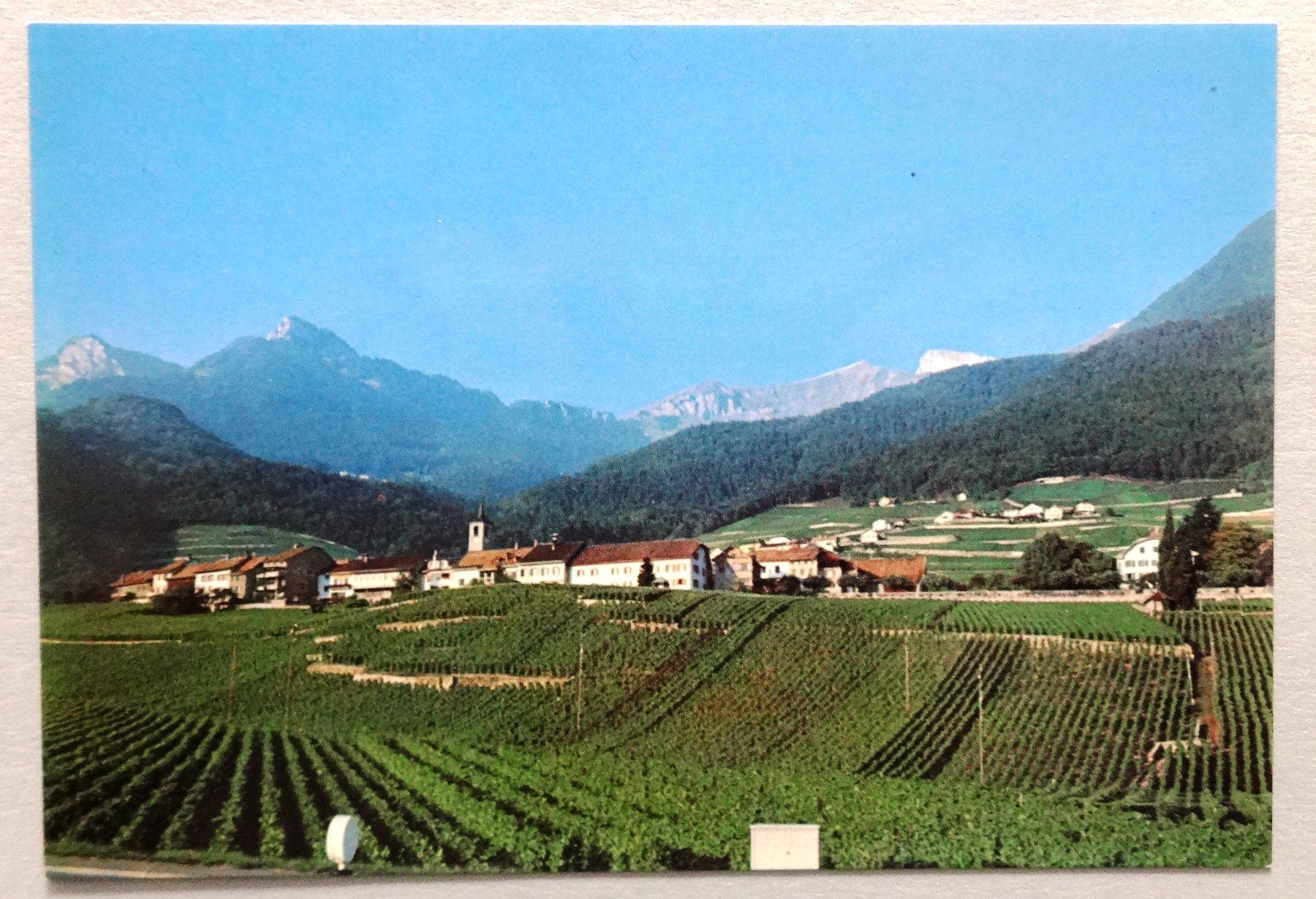Cartoline postali: Yvorne - Vue générale – Usato da Fétigny venduto da Billy2miny