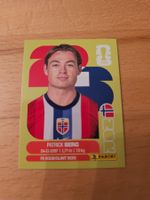 Panini WM 2026 NOR 14
