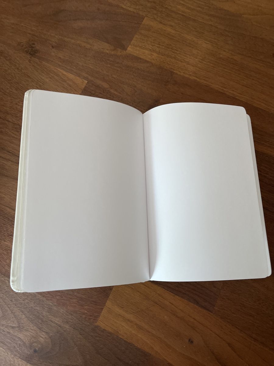 Blocchi: Notizbuch A5 leer – Nuovo (secondo la descrizione) da Andelfingen venduto da estark 2