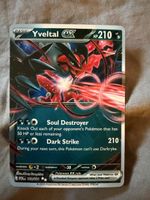 Yveltal EX Pokemon Card 210 HP 105/088