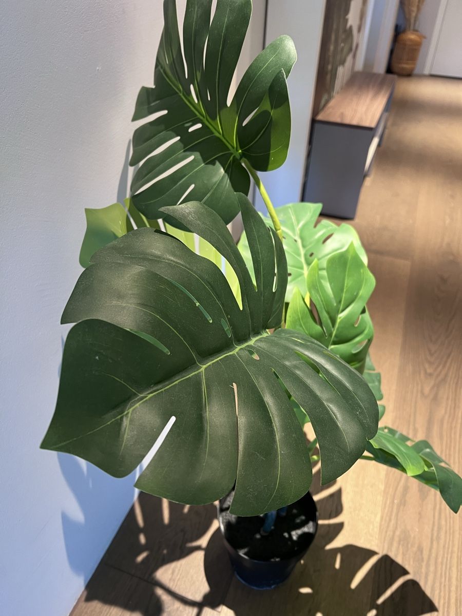 Piante & sementi: Künstliche Monstera Pflanze – Usato da Horgen venduto da laurakm 2