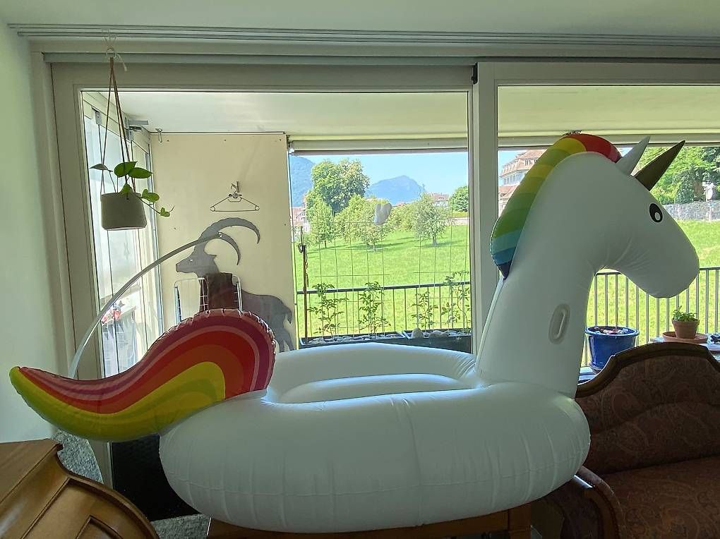 Giocattoli: Einhorn Unicorn – Usato da Schwyz venduto da betsch_sz 1