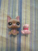 Littlest pet shop Bulldog 