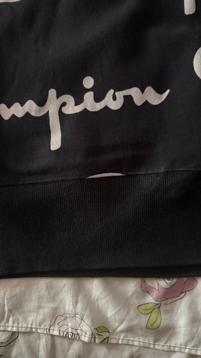 Champion Maglioni & Felpe: Pullover champion  – Nuovo (secondo la descrizione) da Biel/Bienne venduto da glaewynnshop 3