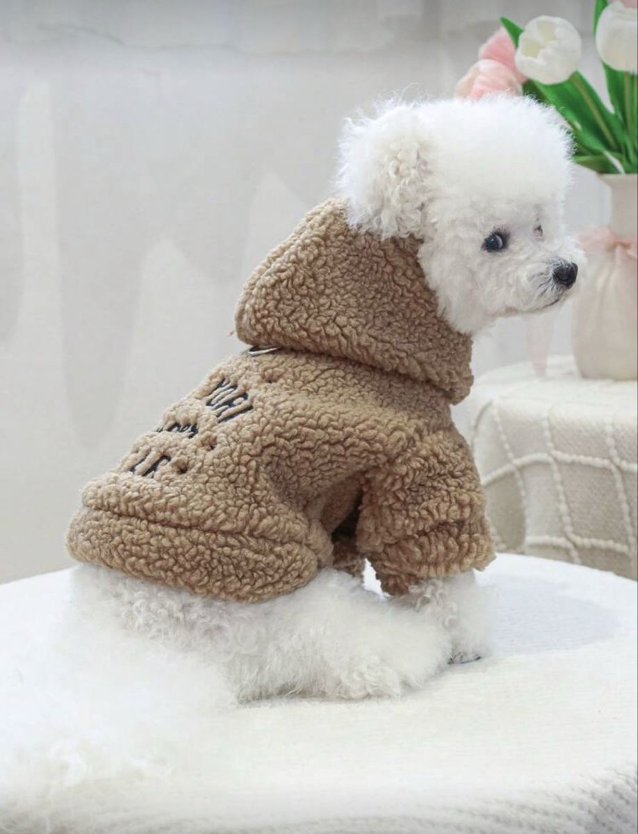 Abbigliamento: Kuscheliger Hundehoodie, Grösse XS oder S – Nuovo e nell'imballaggio originale da Emmenbrücke venduto da ShopDirect 1