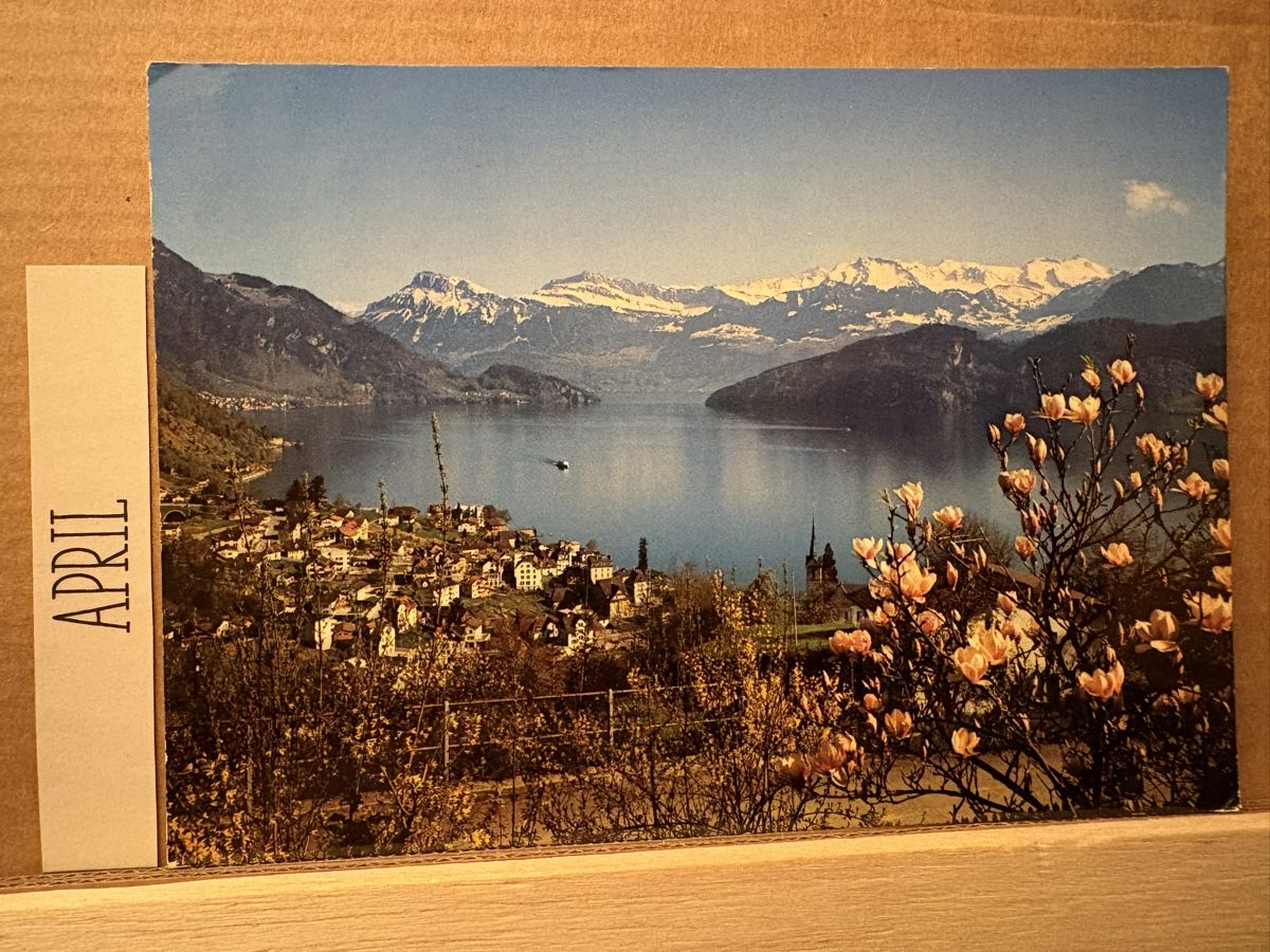 Cartoline postali: AK von Weggis mit Bergpanorama – Usato da Rümlang venduto da Kartenpost1