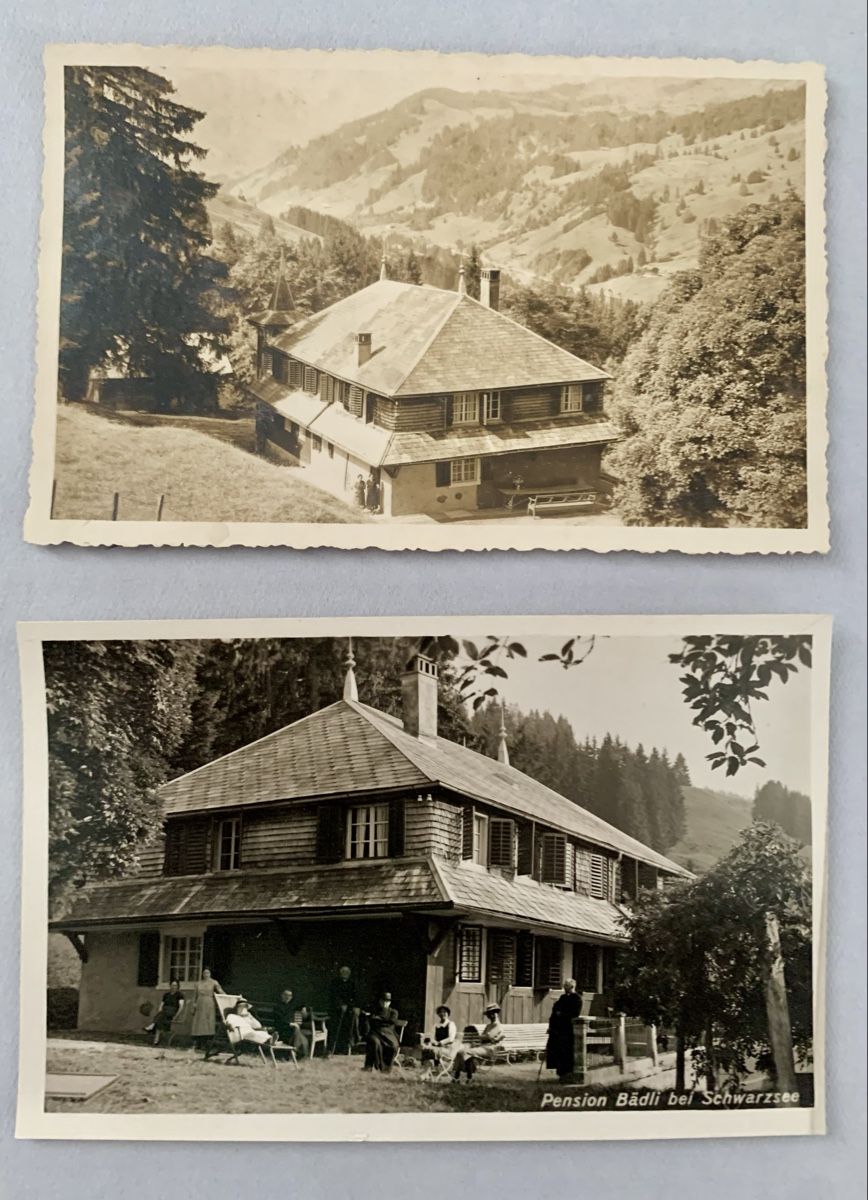 Cartoline postali: Ansichtskarten Schweiz - Schwarzsee FR – Usato da Düdingen venduto da polytropon_5