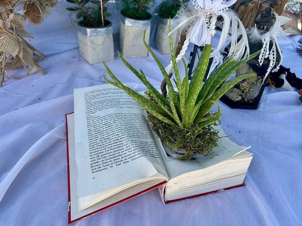 Libri: Aloe Vera im Buch  – Usato da Frauenfeld venduto da Irene.Schuppli 2