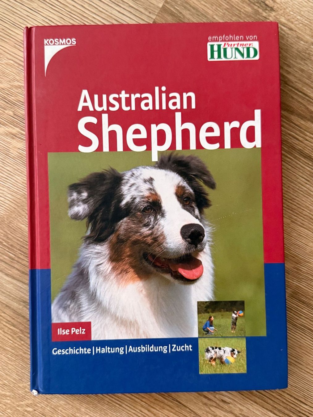 Livres: Australian Shepherd Kosmos Verlag – D'occasion à Allschwil par Irlandelfe85