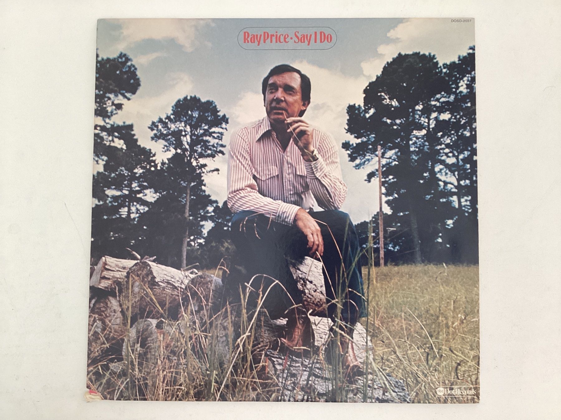 Dischi in vinile: Ray Price LP - Say I Do – Usato da Gutenswil venduto da Hamzian