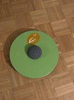 FUN disc