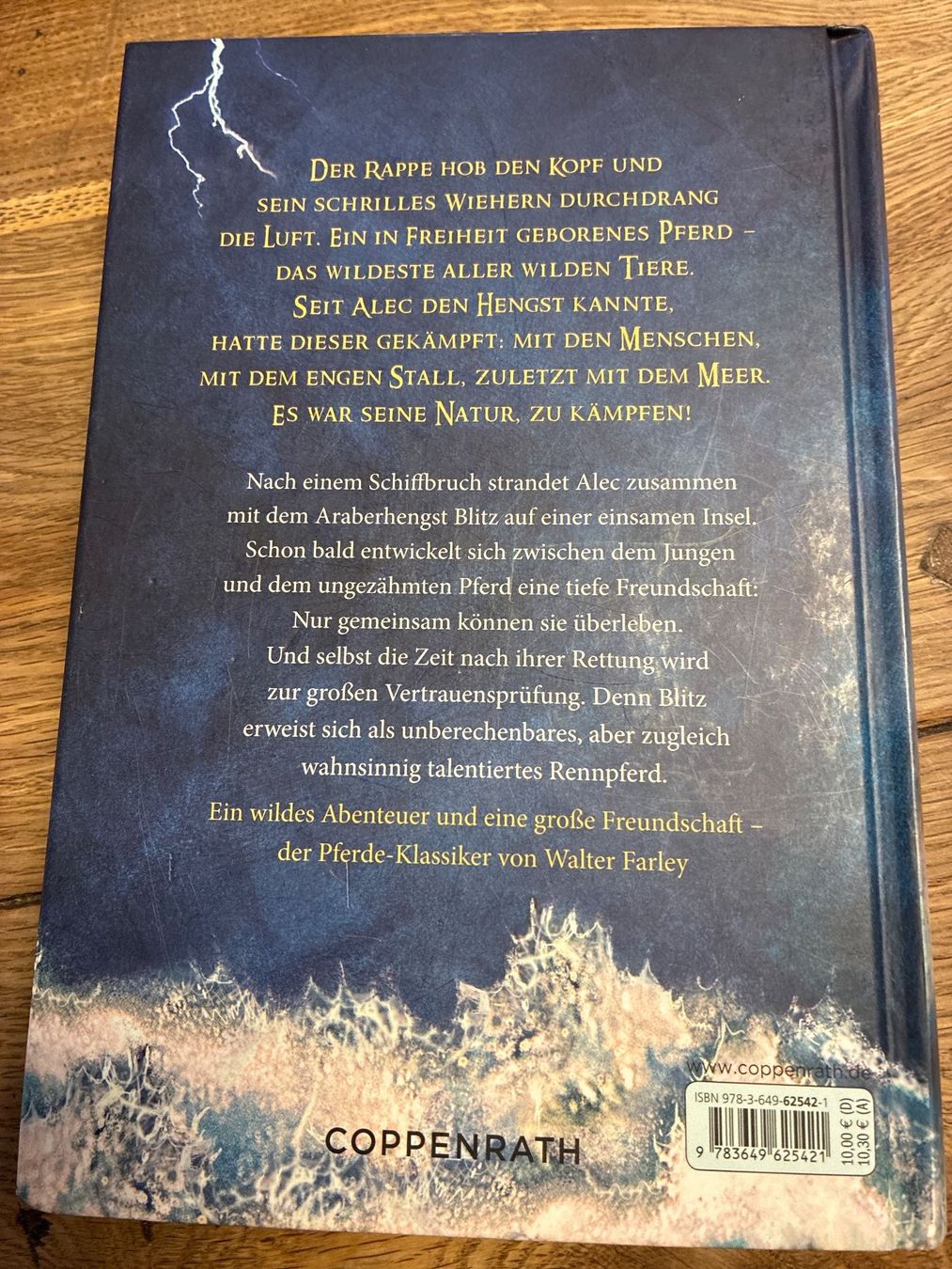 Libri: Buch- Blitz Der schwarze Hengst – Usato da Guntershausen venduto da Gloominati 1