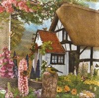 2 Servietten Landhaus