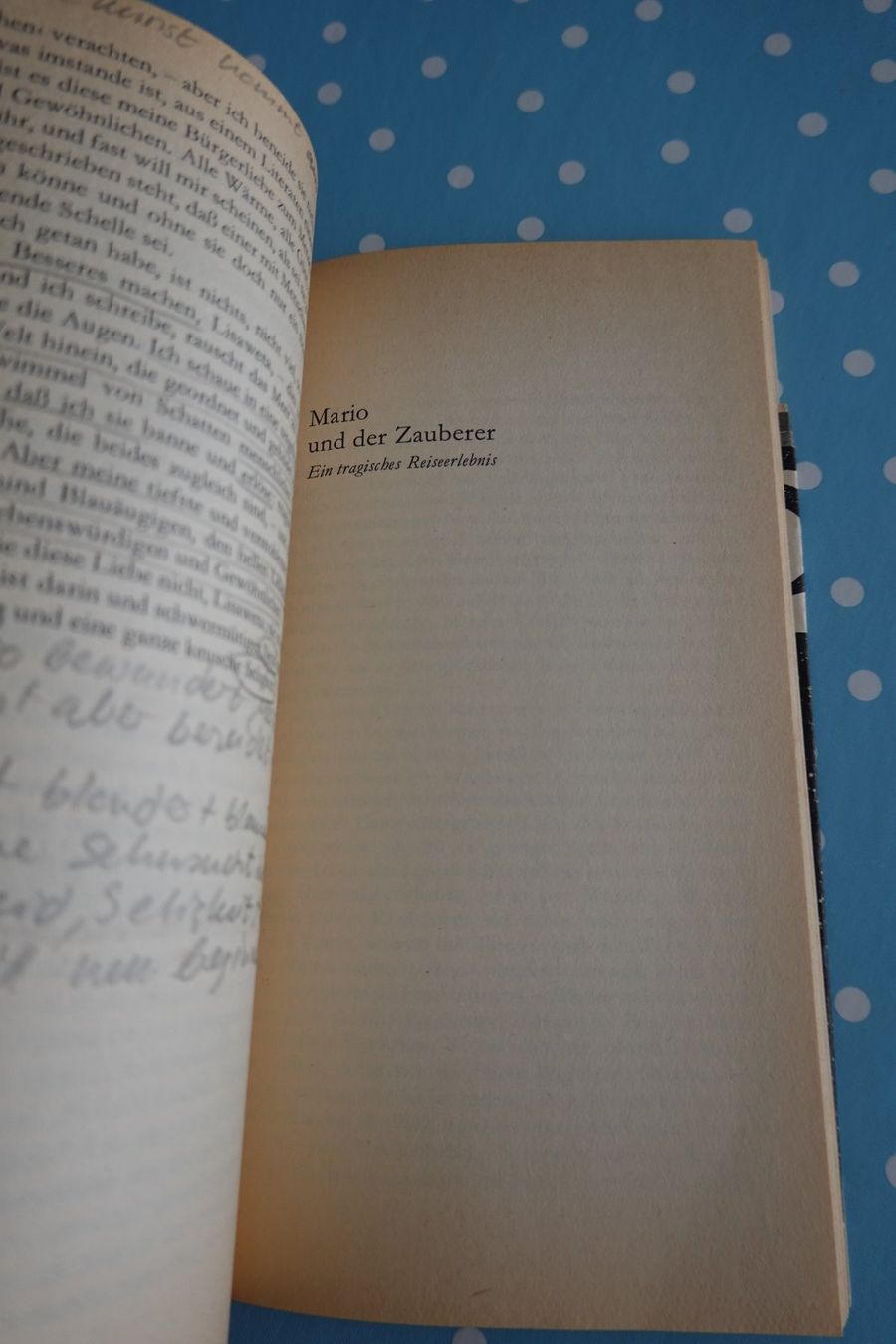 Libri: Thomas Mann - Tonio Kröger, Mario und der Zauberer – Usato da Jona venduto da JOberg_25 1