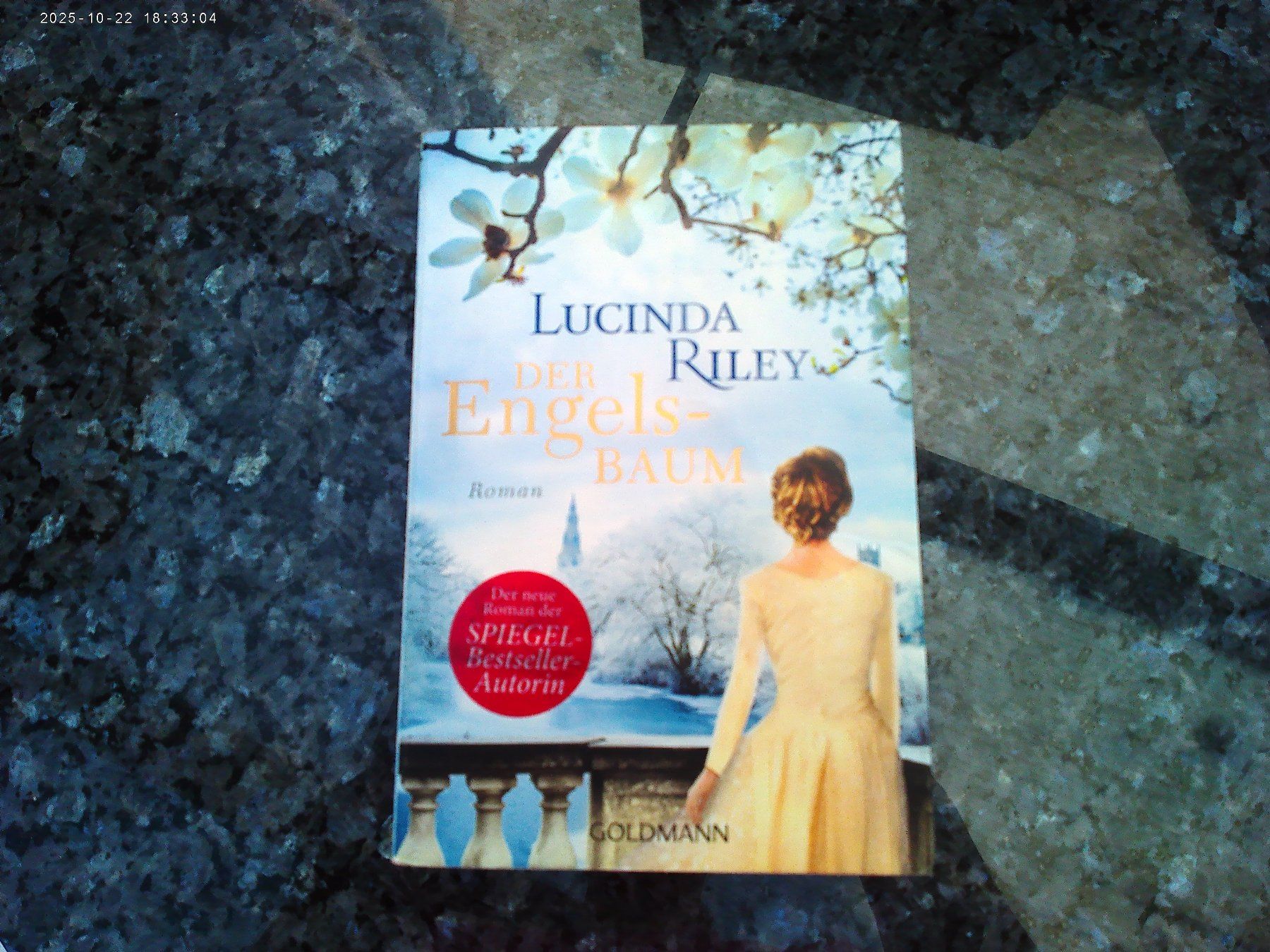 Livres: Der Engelsbaum von Lucinda Riley – D'occasion à reitnau par Sib7