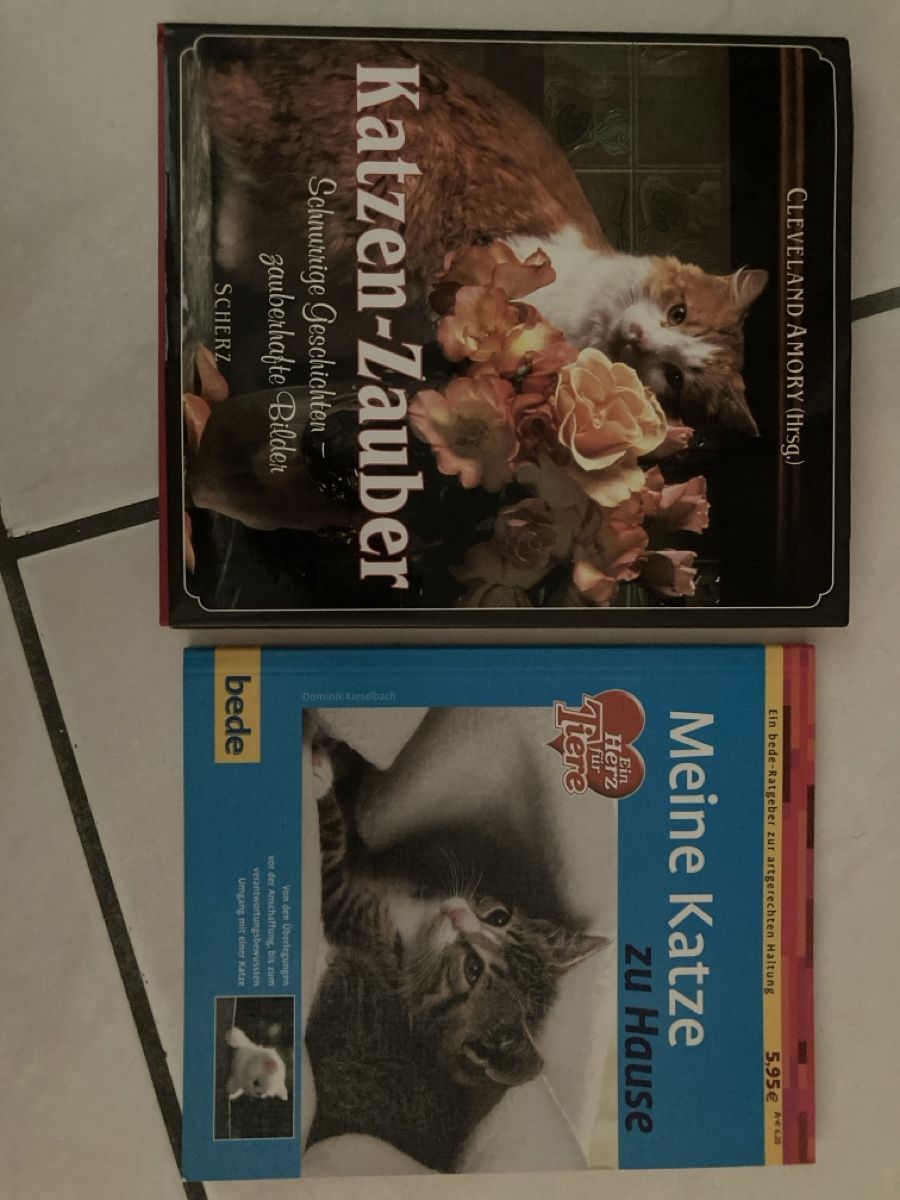Riviste & Magazine: Wegweiser Katze – Nuovo (secondo la descrizione) da Schlattingen venduto da fernfen