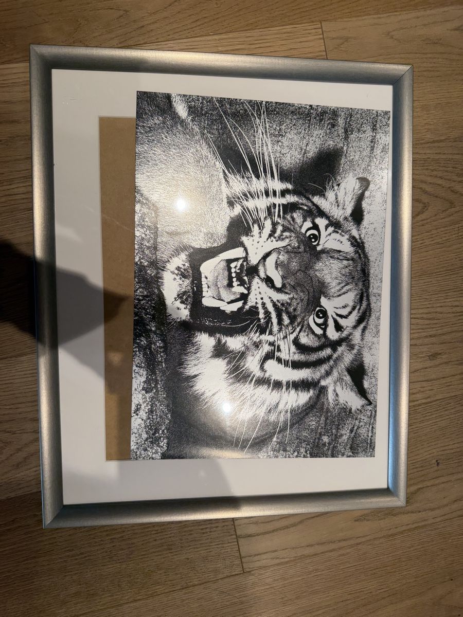 Poster & Bilder: Bilderrahmen IKEA Silverhöjden silber 40x50 cm – Gebraucht aus Küsnacht ZH von ToddyGinger