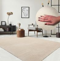 PORTOFREI 🔥 Teppich Super Soft 200x280 Light Beige