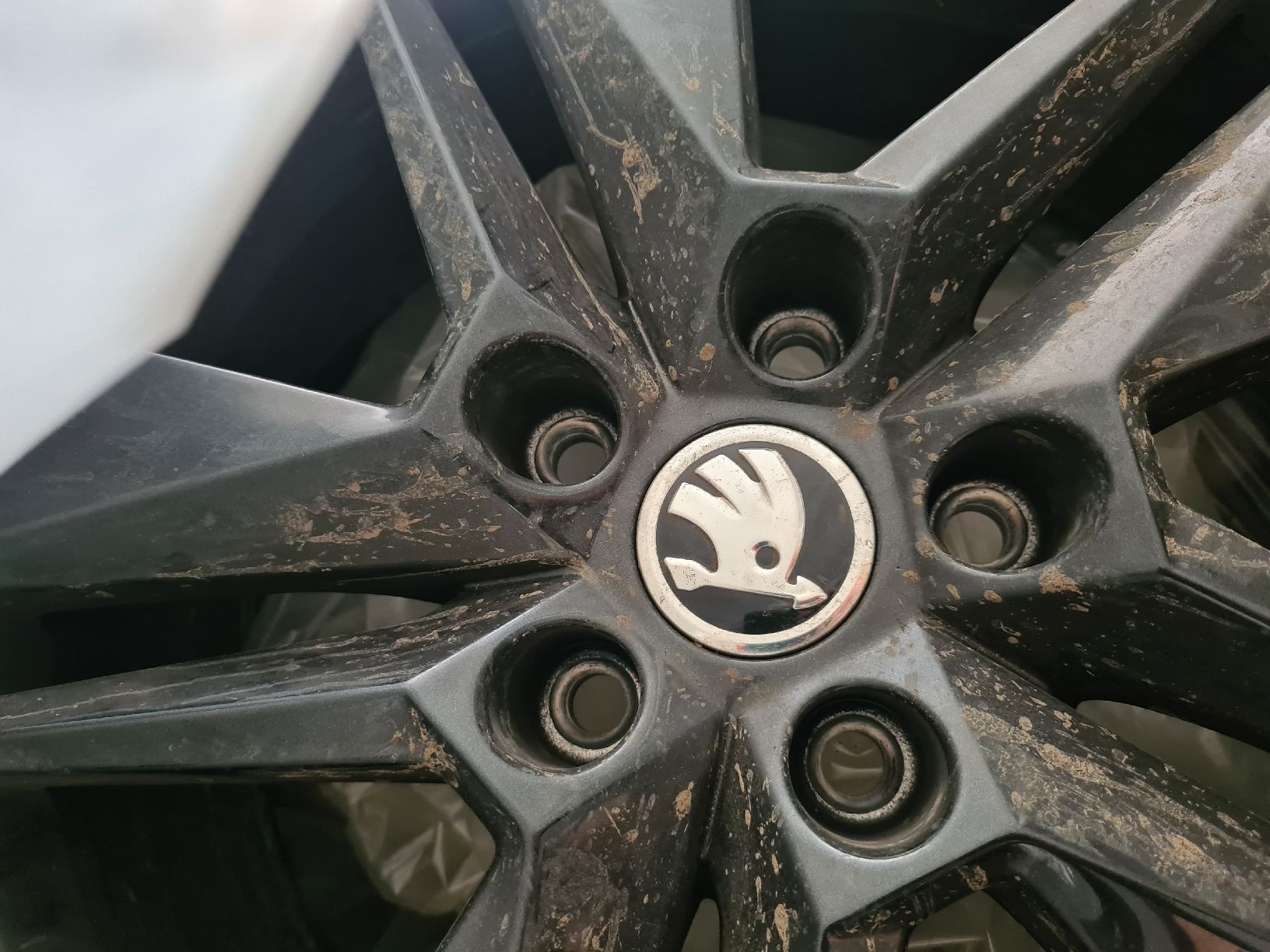 Skoda Tutti i ricambio: Winterreifen Skoda – Usato da Ramlinsburg venduto da DanaBar 6