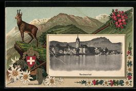 Beckenried, Ortsansicht mit Kirche, Gäm