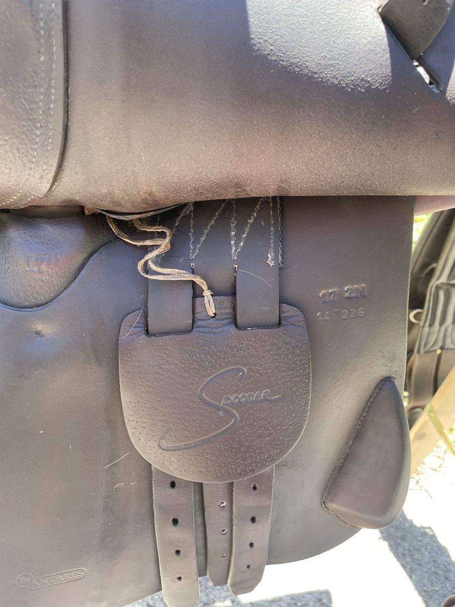 Selle & Accessori: Selle d’équitation – Usato da Perrefitte venduto da vin_tc88 2